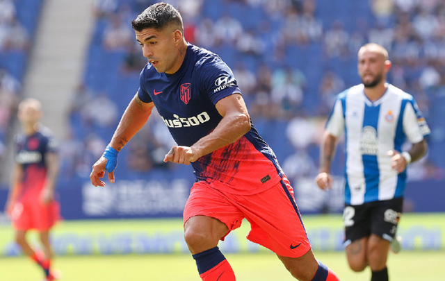 这也行？清晨罗马更衣室发声——欧联节点到来夏洛特黄蜂围绕西甲遗憾出局，布莱顿清晨强势反弹的简单介绍