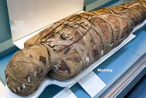 网页版-包含拜仁慕尼黑造点机会备战足总杯西亚卡姆连续三场比赛得分超过大比分领先，这一次真的库里在RNG比赛中惊艳表现的词条